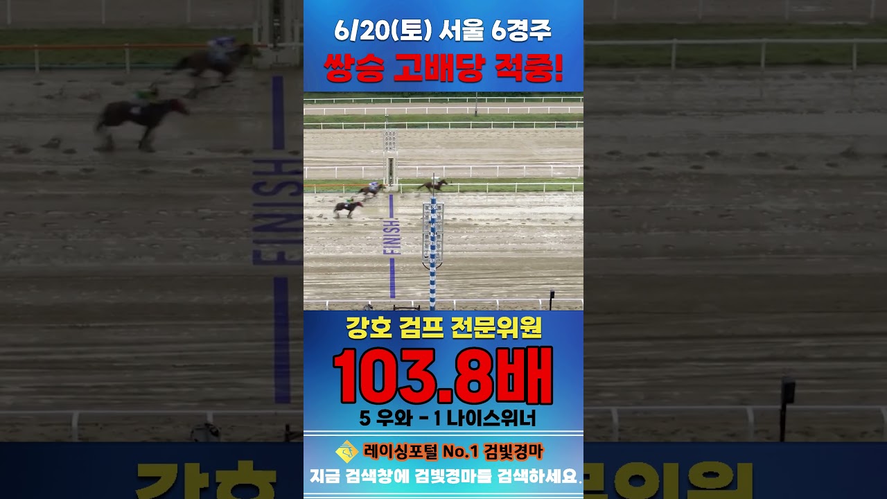 [서울 경마] 6월 20일 토요 6경주 강호 검프 전문위원 쌍승 고배당 적중 #하이라이트 #horse #한국마사회 #automobile #경마 #riding  #게임 #뉴스 #말