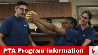 Physical Therapist Assistant Program Information | Concorde Career College