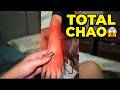 😂 September Fails That Went Instantly Wrong 💀