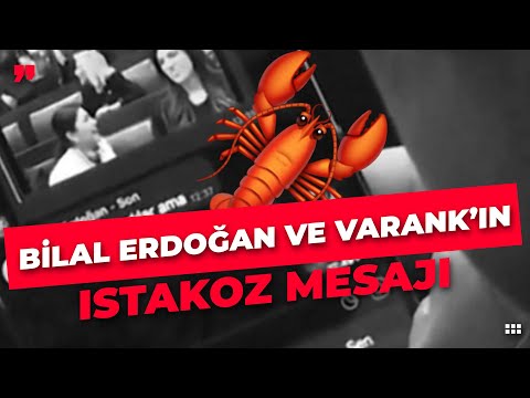 Bilal Erdoğan ve Mustafa Varank'ın Istakoz Yazışmasının Detayları Neler?