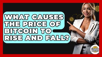 What Causes the Price of Bitcoin to Rise and Fall? - CryptoBasics360.com