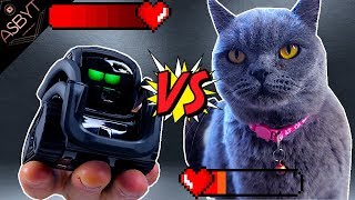 ROBOT vs CAT!!! (Anki Vector) ROBOT vs CAT!!! (Anki Vector)