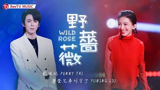 《野蔷薇》#戴佩妮#刘宇宁 - 又是一次神仙合作，两人的嗓音太抓人了！【百视TV音乐频道】