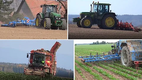 Kde se pěstuje cukrovka?