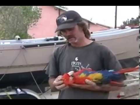 Chris Biro - Parrot Whisperer