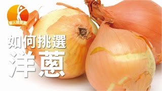 【健康小學堂】洋蔥超強殺菌力營養師這樣挑 