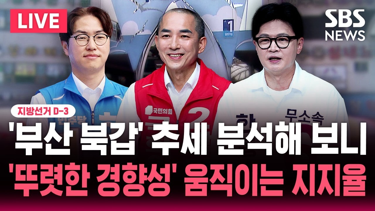 LIVE 지선 D-3 '부산 북갑' 하정우·박민식·한동훈 추세 분석해 보니/'뚜렷한 경향성' 움직이는 지지율 | SBS 뉴스속보