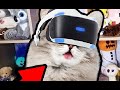 Играю с котом в VR #shorts