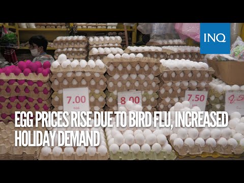 Egg prices rise due to bird flu, increased holiday demand