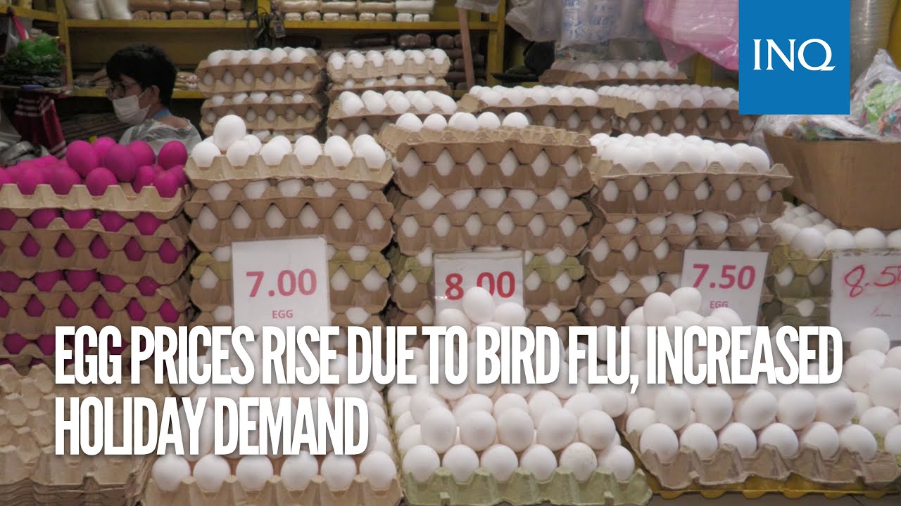 Egg prices rise due to bird flu, increased holiday demand YouTube