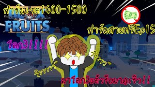 Roblox Bloxfruits(ฟาร์มสายฟรีEp15)เข้าสู่โลก3!!!!!!!!!!