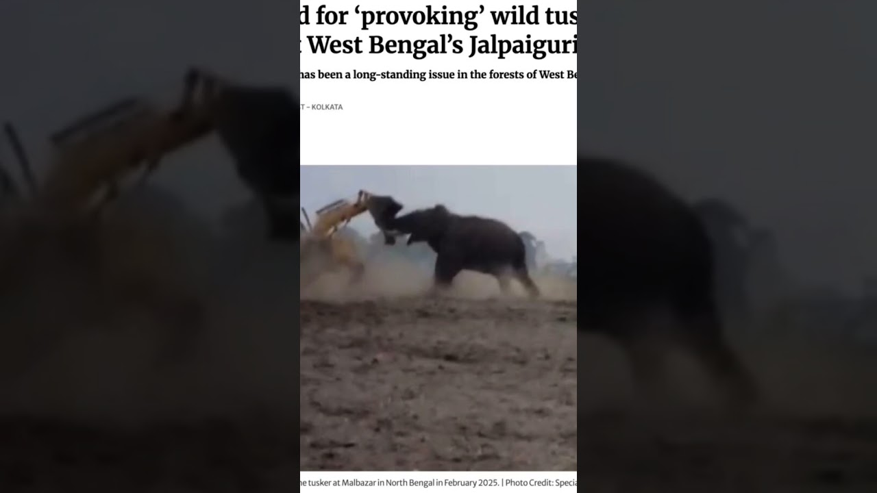 Save kancha Gachibowli forest 