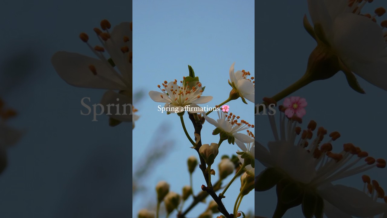 Spring affirmations 🌸 