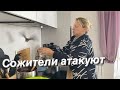 vlog БУДНИ СТАНИЧНИКОВ. О мягкой кровле.Осваиваю  технику для дома/Построили дом. Переезд на юг.