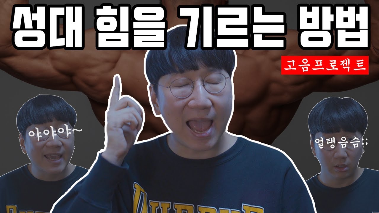 [고음 프로젝트] 성대 힘을 기르는 방법