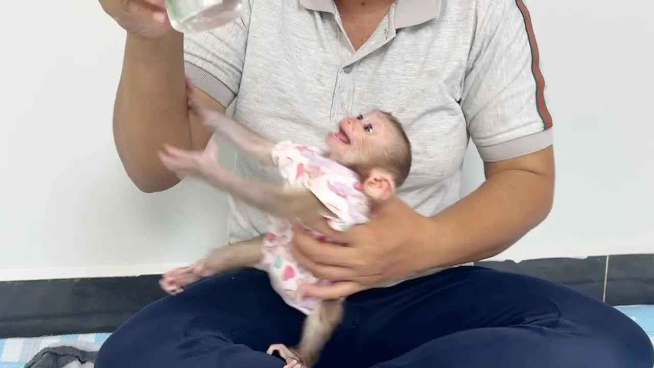 Baby Torii Is The Most Stubborn, He Super Carving Each Time Mom Feeding