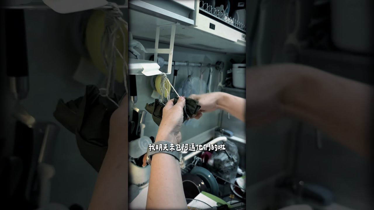 阿邁小嘿的親生粽  #pets #寵物友善日常 #寵物 #狗狗粽子 縮圖