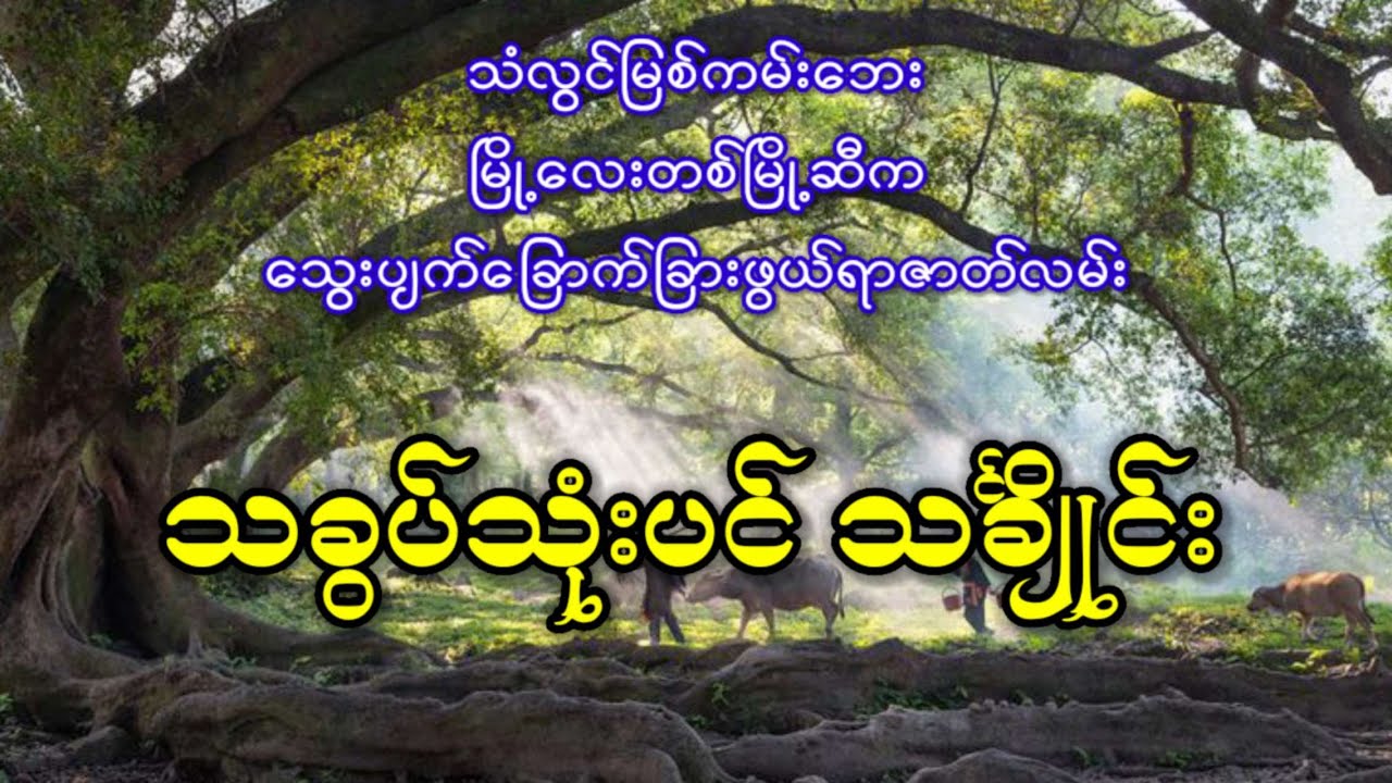 သံလွင်မြစ်ကမ်းဘေး မြို့လေးတစ်မြို့ဆီက သွေးပျက်ခြောက်ခြားဖွယ်ရာဇာတ်လမ်း