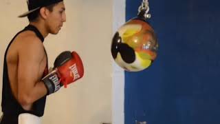 Mario Barrios vs Richard Zamora Full Fight Promo