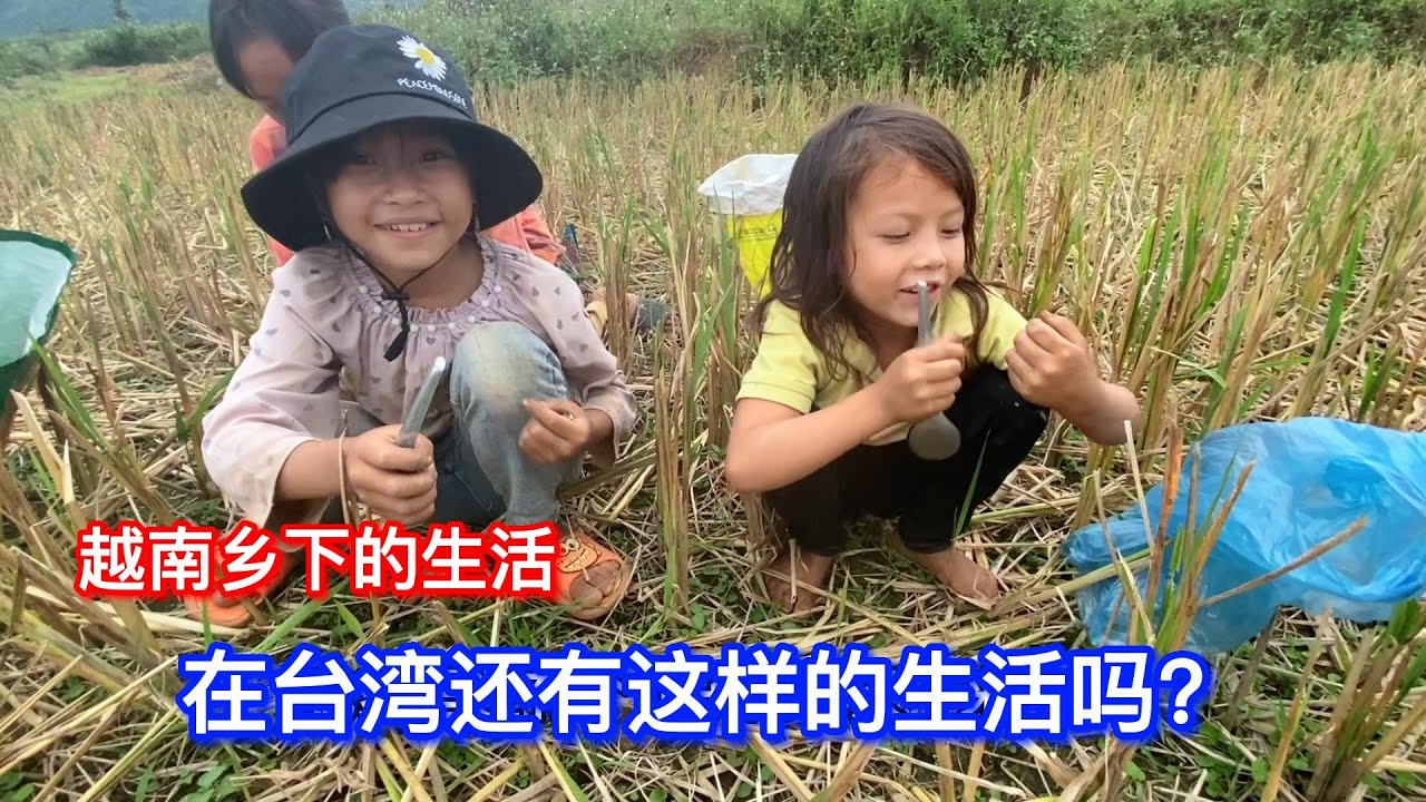 #159:台灣現在還有這樣的越南鄉下的生活嗎?歡迎大家在評論區描述大家這邊的生活讓越南女孩多多瞭解哦。謝謝#越南生活 #台湾还有乡下吗 ...