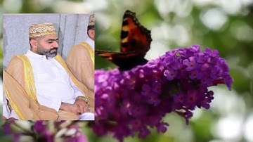 آلَقُآرئ آيَـــآدٍ آلَبًدٍآحًيَ وماتيسر من سورة النحل من الايه 9 ـــ 25🌸🌼🌺