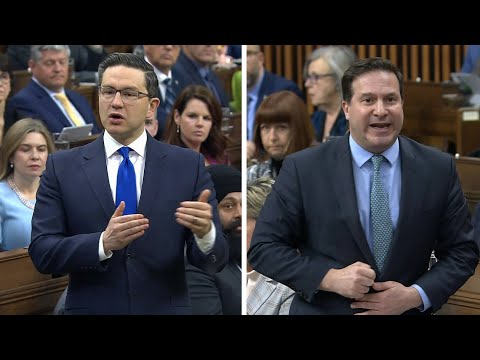 WATCH | MPs get into heated exchange over Canada's need for bail reform