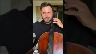 HAUSER  - CELLO MUSIK  - Kiss the Rain 💚🎶🎻👌