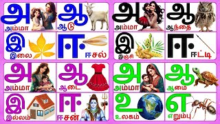 தமிழ் எழுத்துக்கள்/ உயிர் எழுத்துக்கள் /அரிச்சுவடி/Tamil Alphabets Vowels Arichuvadi/அம்மா ஆடு இலை