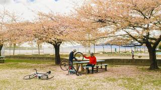 Silent Biking to Cherry Blossoms in Vancouver, BC