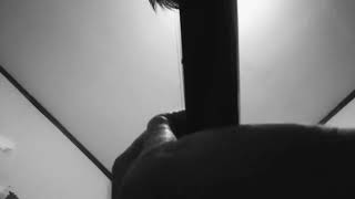 Download Lagu ( Di Sini Ku temani Kau Dalam Tangis Mu Bila Air Mata Dapat Cairkan Hati )#shorts MP3 Download Lagu ( Di Sini Ku temani Kau Dalam Tangis Mu Bila Air Mata Dapat Cairkan Hati )#shorts MP3