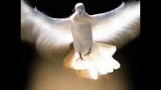 Hati Yang Tulus   Nur Afni Octavia audio klip