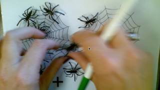 Spider Math