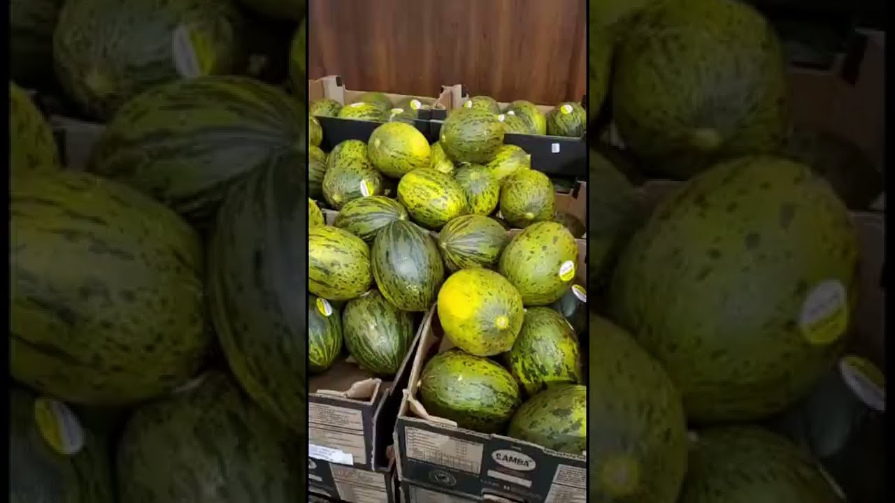 EXPENSIVE SANTA CLAUS MELON !🎅 