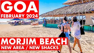 Morjim Beach - February 2024 | Goa Vlog | North Goa | Famous Russian Beach | Shacks & Prices |
