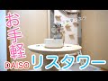 【シマリス】リスと仲良くなれる？！リスタワーを作ってみた！