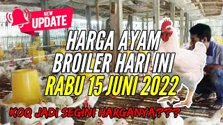 Daftar Harga Pakan Ayam Broiler Hari Ini Kamis 02 Desember 2021. 