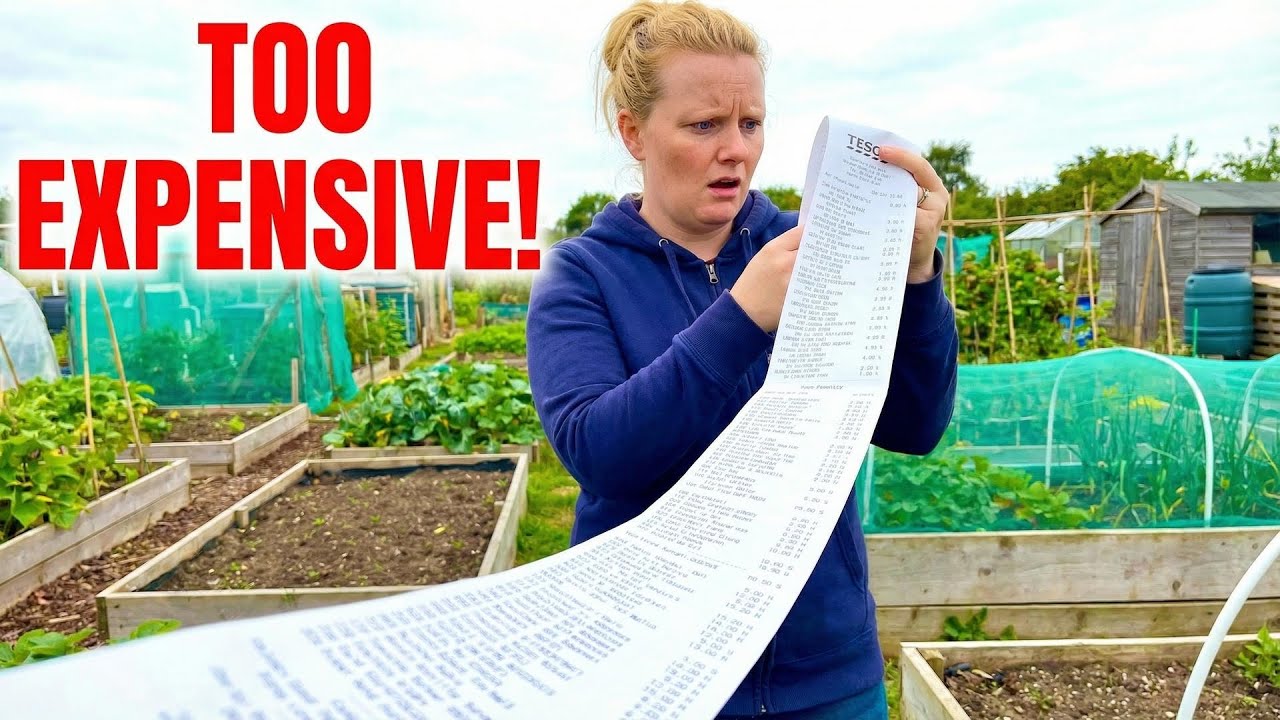 How I Plan to Cut My Grocery Bill in Half