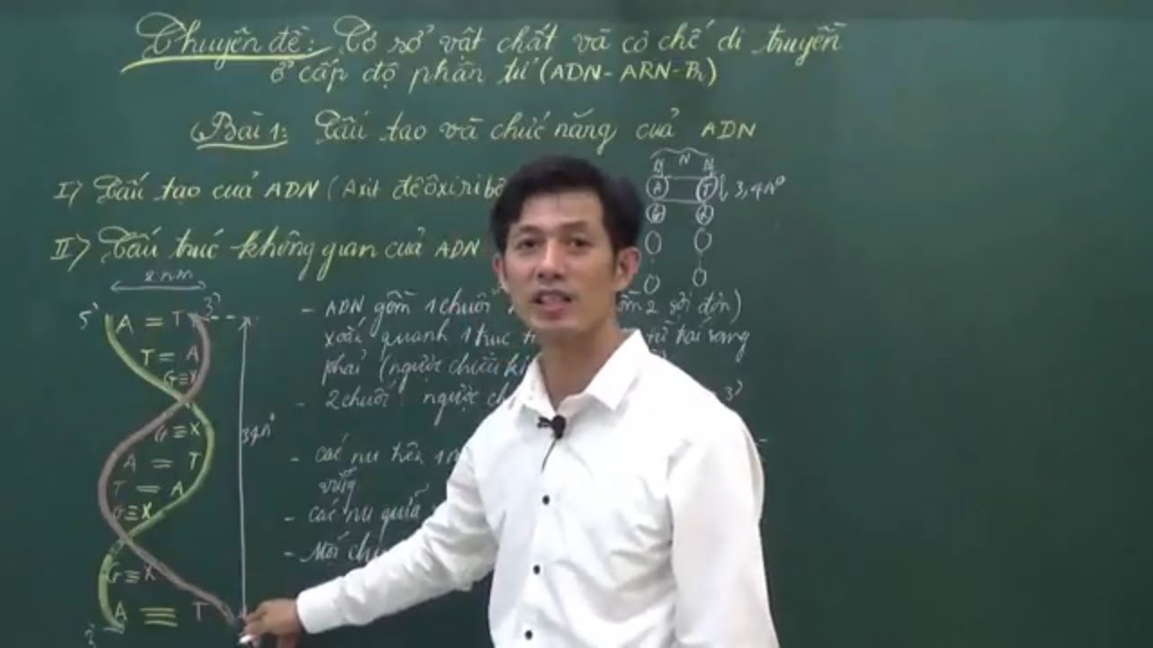 CẤU TRÚC VÀ CHỨC NĂNG CỦA ADN