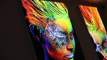 Vector LED Wall Mounted Lightbox