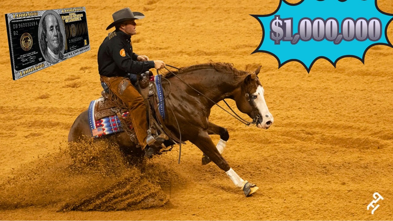 Down Right Amazing Horse Breaks Record for Earning $1 Million at the Reining (NRHA)