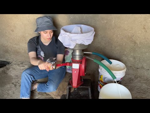 ولاگ سفر به آباده و مزرعه و گوسفندا دشت و دمن های استان فارس