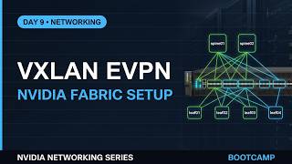 Day 9- Nvidia VXLAN EVPN Introduction and lab setup.