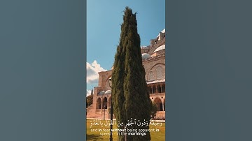 سورة الأعراف ♥️ | الآية 205