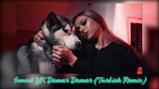 Mudi - Damar Damar ft İsmail YK (Turkish Remix) Resimi