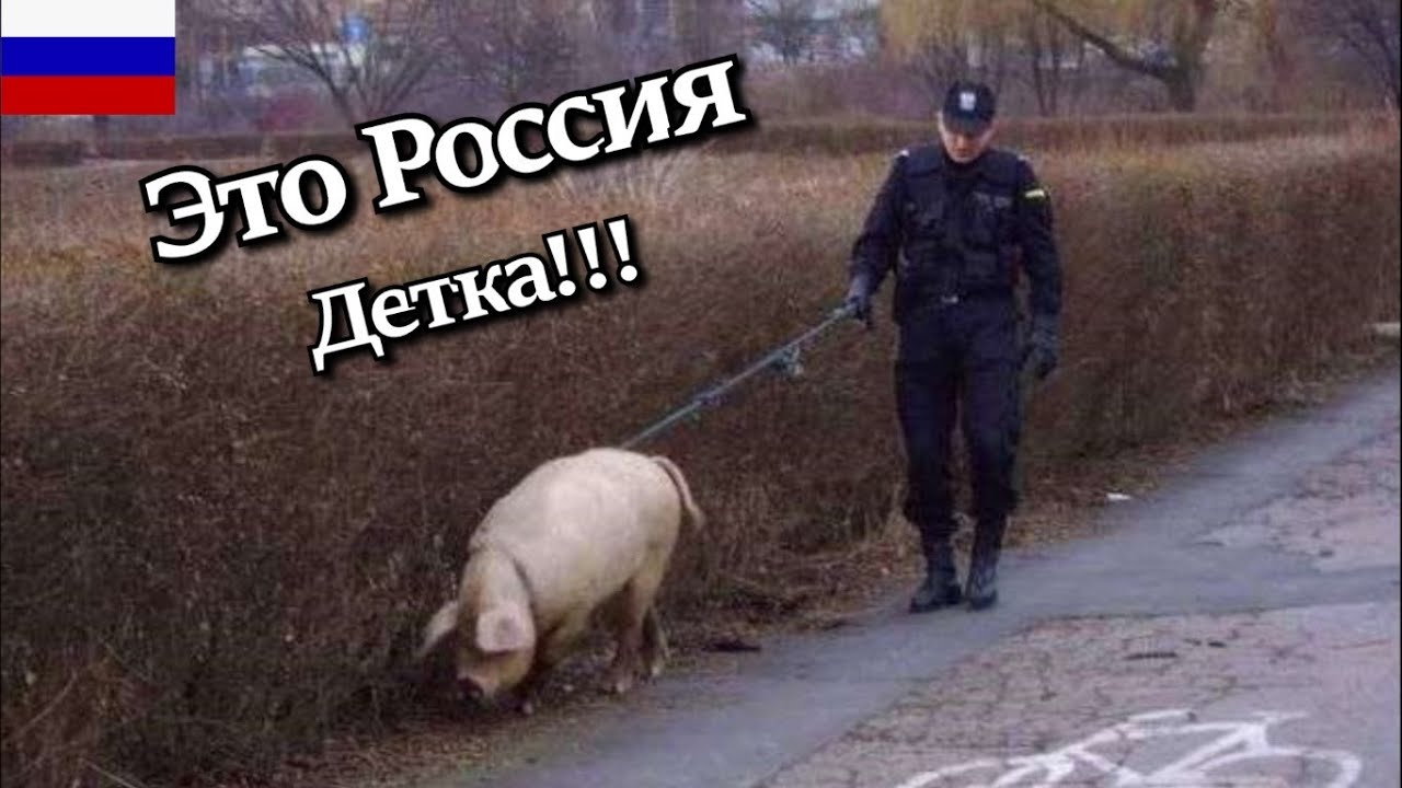 Зарекалась свинья. Свинья в полицейской форме. Свинья ввоеенной форме.