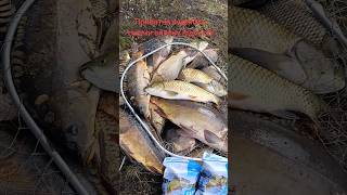 Підпишись. Тут про рибалку. #рибалка #fishing #короповаловля #carpfishing #carp
