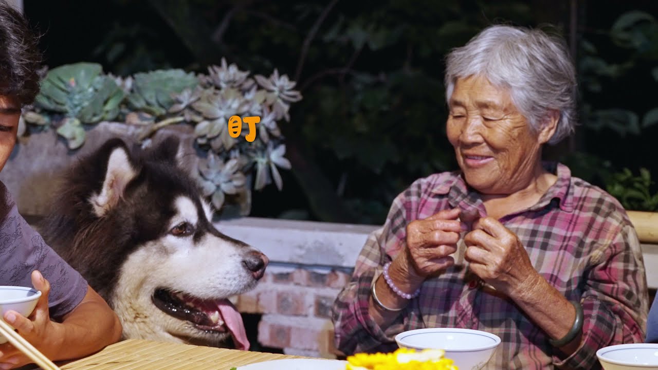 ⁣奶奶最好了喂我吃了好多肉 Grandma is the best, fed me a lot of meat丨Apenjie with Dawang