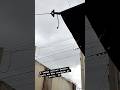 O tempo aqui em São Joaquim da Barra, SP, piorou demais até agora #Shorts #INMET #Climatempo
