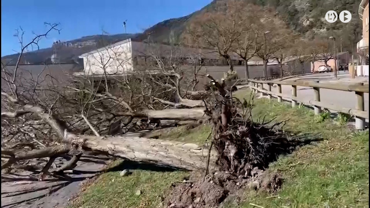 El vent sacseja l'alt Berguedà amb ratxes de més de 100 km/h