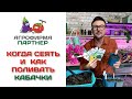 Когда сеять и как поливать кабачки